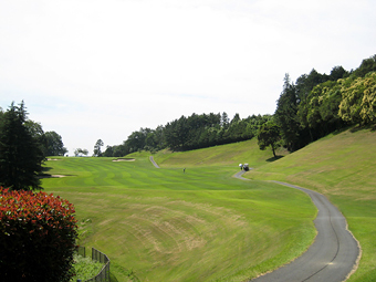 フェアウェー ティグランドにて